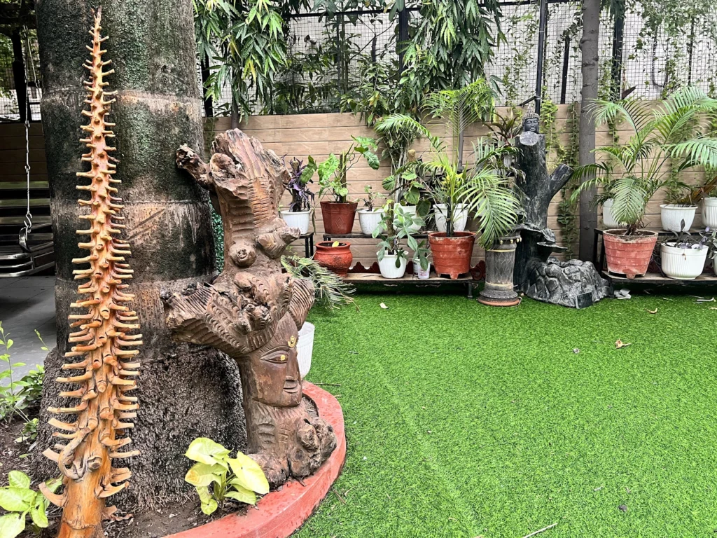 Garden