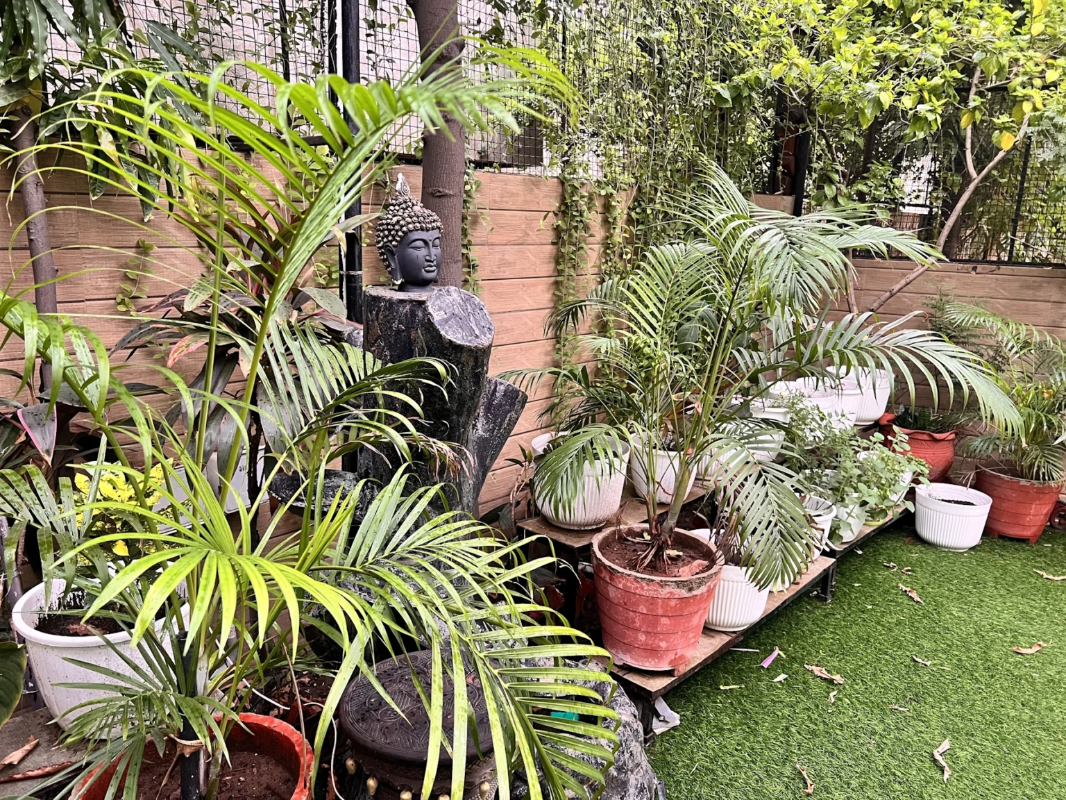 Garden View